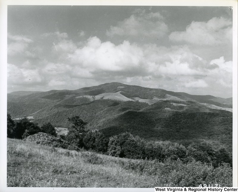 A landscape photograph of Bickle Knob from a meadow on Cheat Mountain, south of U.S. 33.