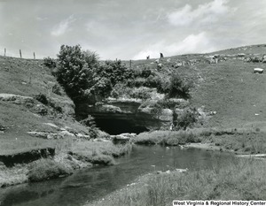 A photograph of "The Sinks," where the head of Gandy Creek disappears through a cavern. The stream emerges about 3/4 miles away.